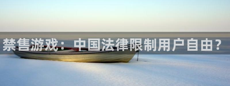 pp电子子猫图片：禁售游戏：中国法律限制用户自由？