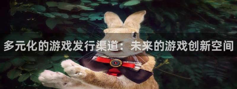 pp电子官网注册方法有哪些软件：多元化的游戏发行渠道：未来的游戏创新空间