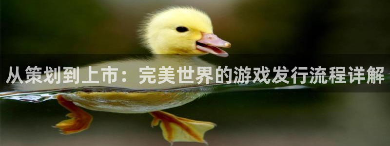 pp电子官网登录注册账号：从策划到上市：完美世界的游戏发行流程详解