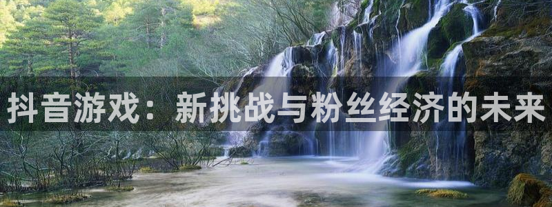 pp电子技术有限公司怎么样：抖音游戏：新挑战与粉丝经济的未来