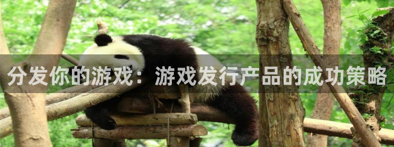 pp电子怪兽：分发你的游戏：游戏发行产品的成功策略
