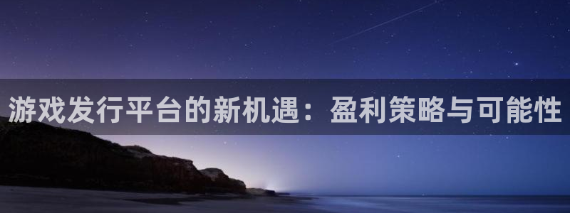 pp电子子上市：游戏发行平台的新机遇：盈利策略与可能性