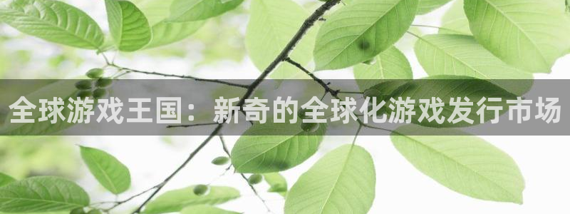 pp电子子股价：全球游戏王国：新奇的全球化游戏发行市场