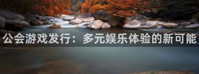 pp电子官网平台怎么样可靠吗：公会游戏发行：多元娱乐体验的新可能