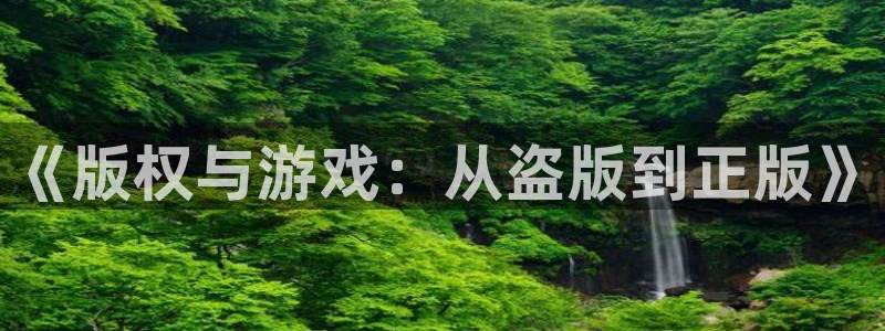 pp电子品牌顾问有限公司：《版权与游戏：从盗版到正版》