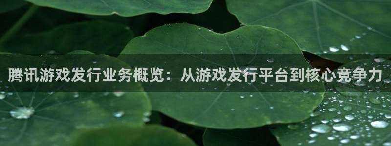 pp电子的寓意：腾讯游戏发行业务概览：从游戏发行平台到核心竞争力