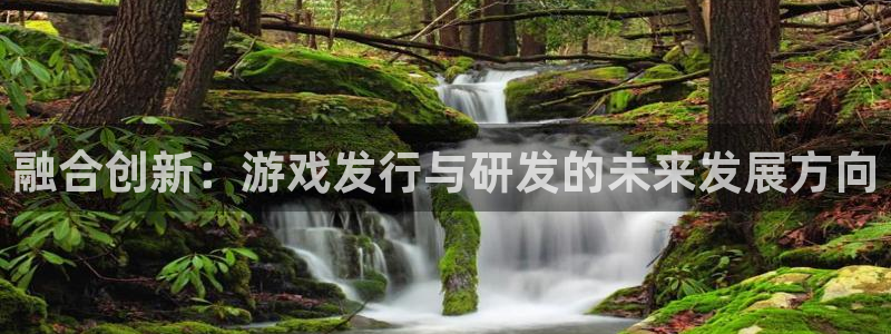 pp电子官网登录注册账号是什么样的：融合创新：游戏发行与研发的未来发展方向