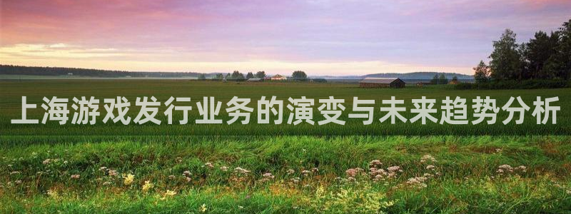pp电子官网官网注册账号是什么：上海游戏发行业务的演变与未来趋势分析