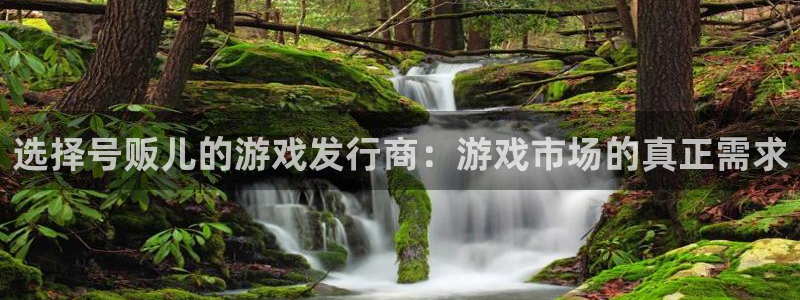 pp电子官网代理开号怎么开