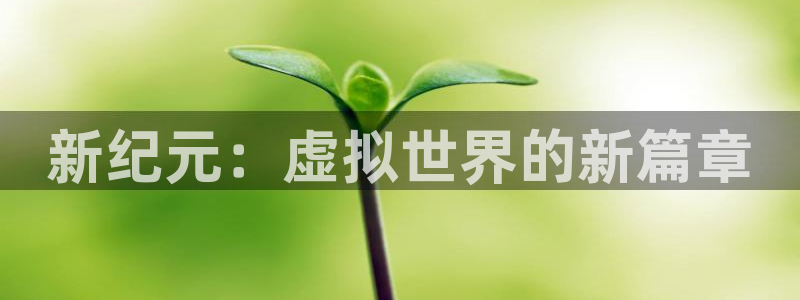 pp电子子文化是干嘛的