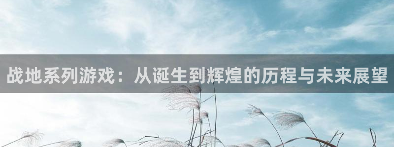 pp电子官网解绑银行卡怎么弄：战地系列游戏：从诞生到辉煌的历程与未来展望