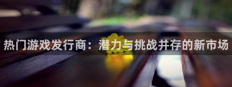 pp电子官网平台代理条件如何：热门游戏发行商：潜力与挑战并存的新市场